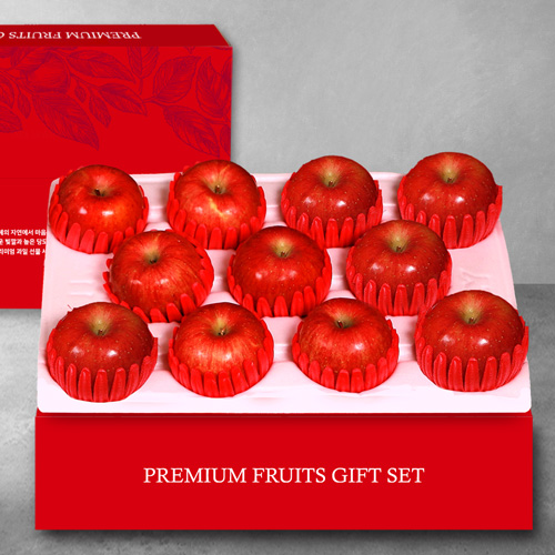 [명절]델리팜 명품사과 3kg(9-13과)